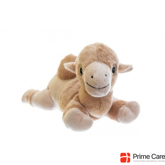 Habibi Plush Baby Camel Case Washable buy online