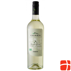 Terroir Series Torrontes Salta Kaiken 17 6x 75cl