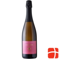 Vino Frizzante D`italia Rosato Se Parole 6x 75cl