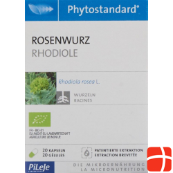 Phytostandard Rosenwurz Kapseln Bio 20 Stück