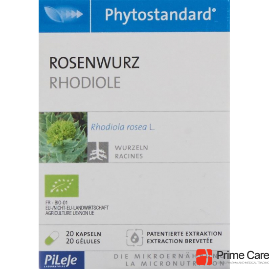 Phytostandard Rosenwurz Kapseln Bio 20 Stück buy online