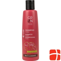 Grn Rich Shampoo Vitalität Brokkoli&olive Flasche 250ml
