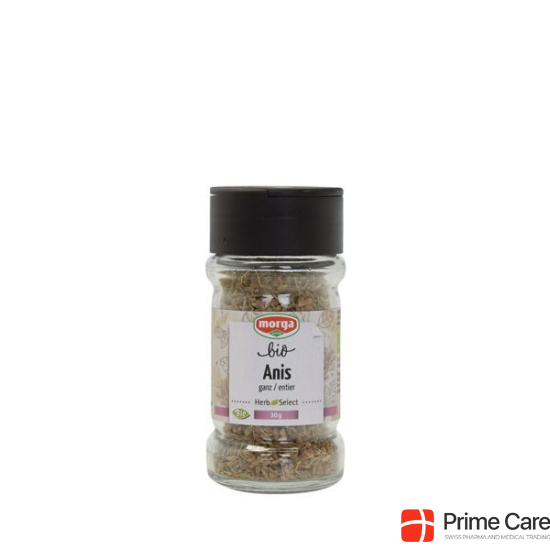 Morga Gewürz Anis Ganz Bio Glas 30g buy online