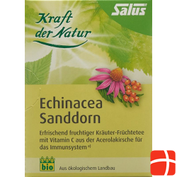 Salus Echinacea Sea Buckthorn Tea Organic Bag 15 Pieces