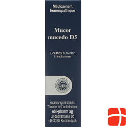 Sanum Mucor Mucedo Tropfen D 5 Flasche 10ml