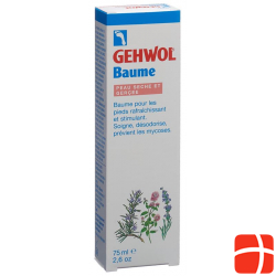 Gehwol Balsam Trockene Haut E/f Tube 75ml