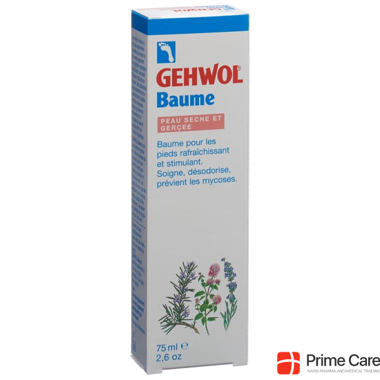 Gehwol Balsam Trockene Haut E/f Tube 75ml buy online