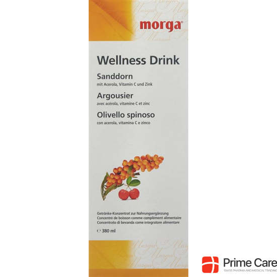 Morga Sanddorn Wellness Drink Flasche 380ml buy online