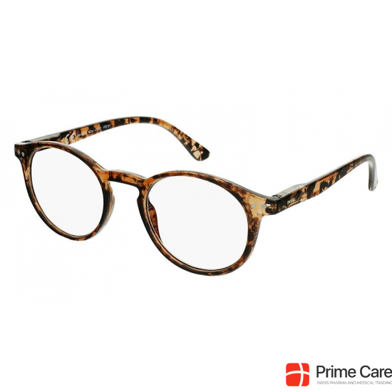 Invu reading glasses 2.50dpt B6161g buy online