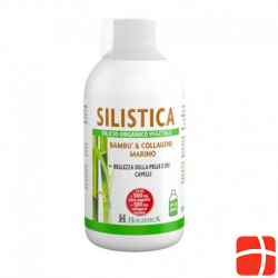 Holistica Silistica Silicium Pflanzlich Flasche 500ml