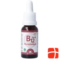 Dr. Jacob's B12 Phospholipid Forte Flasche 50ml