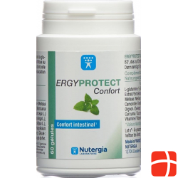 Nutergia Ergyprotect Confort Gelules Dose 60 Stück