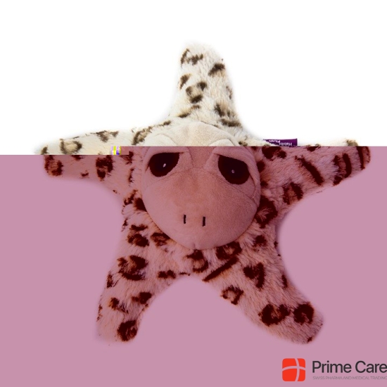 Habibi Plush Starfish buy online