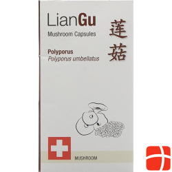 Liangu Polyporus Mushrooms Kapseln Dose 60 Stück