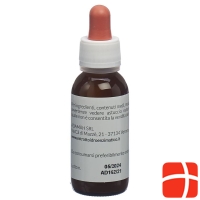 Adamah Eie-Lip Ox Flasche 60ml