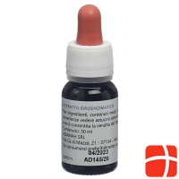 Adamah Eie Bronplus Flasche 30ml