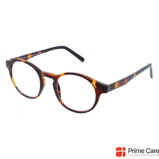 Invu reading glasses 2.50dpt B6222g buy online