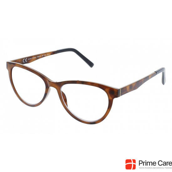 Invu reading glasses 2.50dpt B6223g buy online