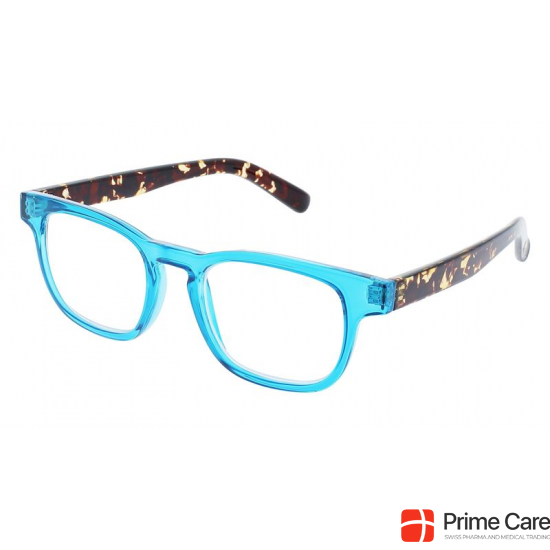Invu reading glasses 2.00dpt B6225e buy online