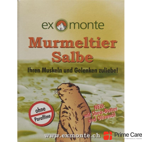 Exmonte Murmeltier Salbe Topf 100ml buy online