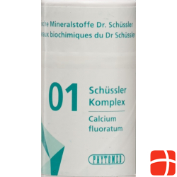 Phytomed Schüssler Komplex No 1 Tabletten Dose 300 Stück