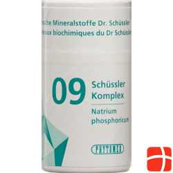 Phytomed Schüssler Komplex No 9 Tabletten Dose 300 Stück