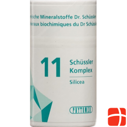 Phytomed Schüssler Komplex No 11 Tabletten Dose 300 Stück