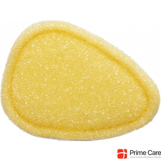 Sherteme Backhelp Exfoliating Sponge buy online