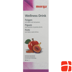 Morga Wellness Drink Feigen 380ml