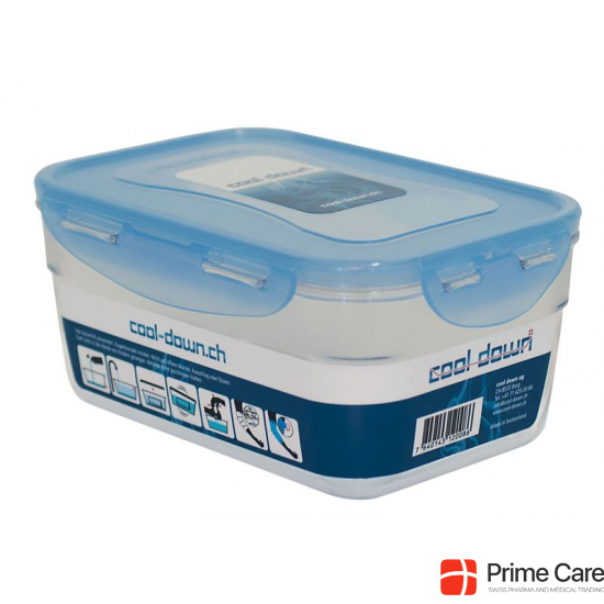 Cool Down food storage container 1800ml buy online