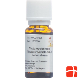 Aromasan Lebensbaum Ätherisches Öl 15ml