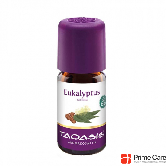 Taoasis Eukalyptus Radiata Ätherisches Öl Bio 5ml buy online