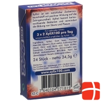 Xylix100 Boxendisplay Kaugummi Cola 10x24 Stk