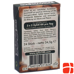 Xylix100 Boxendisplay Kaugummi Kokos 10x24 Stk