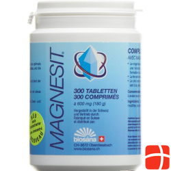 Magnesit Mineralsalz Tabletten Konzentriert Dose 300 Stück