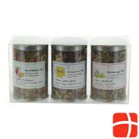 Herboristeria Set of 3 Tea Tins Pleasure Tea