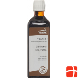 Heidak Tinktur Glechoma Hederacea 500ml