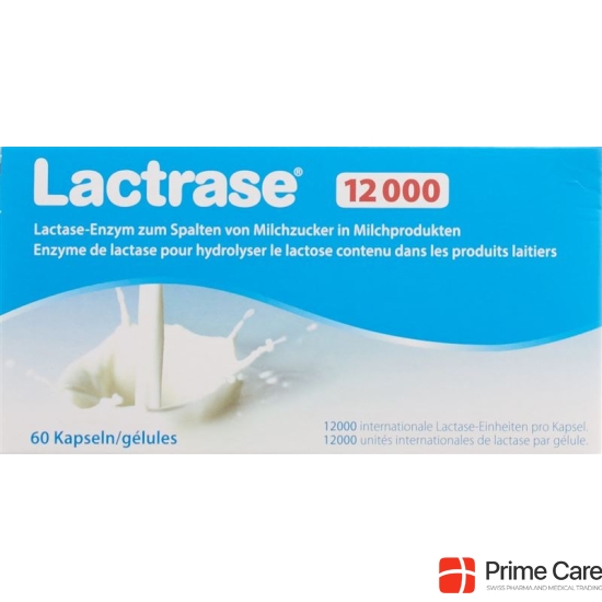 Lactrase Kapseln 12000 60 Stück buy online