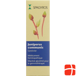 Spagyros Gemmo Juniperus Commun Glyc Maz D 3 30ml