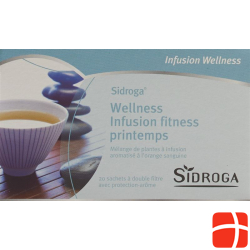 Sidroga Wellness Frühlingsfit Beutel 20 Stück