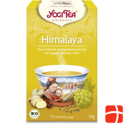 Yogi Tee Himalaya Beutel 15 Stück