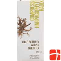 Dixa Teufelskrallenwurzel Tabletten 250 Stück