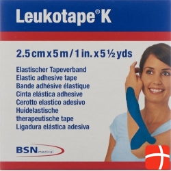 Leukotape K paving binder 5mx2.5cm blue 5 pcs