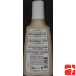 NOISE Avocado Color Guard SHAMPOO 40 ml