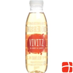 VIVITZ organic iced tea apple mint 6 x 0.5 lt