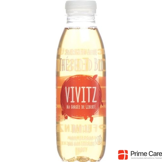 VIVITZ organic iced tea apple mint 6 x 0.5 lt