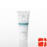 Romulsin skin protection cream with camphor-menthol 5 Tb 200 ml