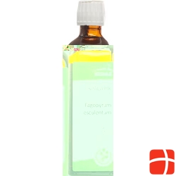 HEIDAK Spagyrik Fagopyrum esculentum Bottle 250 ml