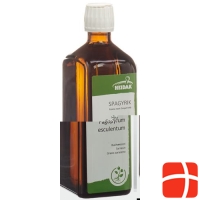 HEIDAK Spagyrik Avena sativa Bottle 250 ml