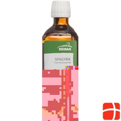 HEIDAK Spagyrik Cimicifuga racemosa Bottle 250 ml